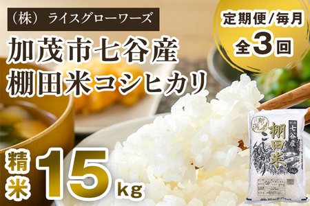 【令和7年産】【定期便3回毎月お届け】七谷産 棚田米コシヒカリ 精米15kg（5kg×3）《順次出荷》 白米 （株）ライスグローワーズ