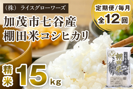 【令和7年産】【定期便12ヶ月毎月お届け】七谷産 棚田米コシヒカリ 精米15kg（5kg×3）《順次出荷》 白米 （株）ライスグローワーズ