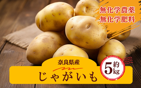 生命の農法（ 無化学農薬 ・ 無化学肥料栽培 ） じゃがいも （ 5kg ）｜慈光会自然食品販売所