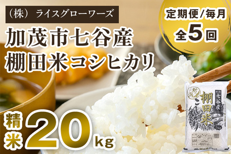 【令和7年産】【定期便5ヶ月毎月お届け】七谷産 棚田米コシヒカリ 精米20kg（5kg×4）《順次出荷》 白米 （株）ライスグローワーズ