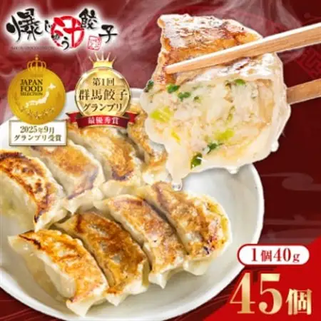 爆じゅう餃子　45個入り_惣菜・加工品 餃子  ぎょうざ ギョウザ_【配送不可地域：離島】【1209776】