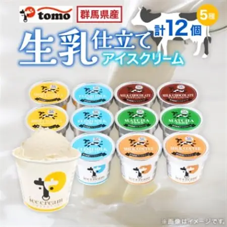 群馬県太田市　生乳仕立てアイスクリーム 12個セット_アイスクリーム 生乳 セット スイーツ おやつ デザート 東毛酪農 バニラ チョコ 抹茶 人気 おすすめ 送料無料 贈答 ギフト プレゼント_【配送不可地域：離島】【1223043】