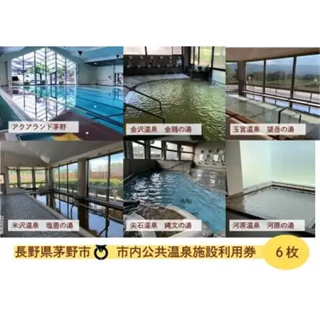 市内公共温泉施設利用券　6枚　温泉　信州　蓼科_旅行券・チケット  温泉利用券 _【1414108】