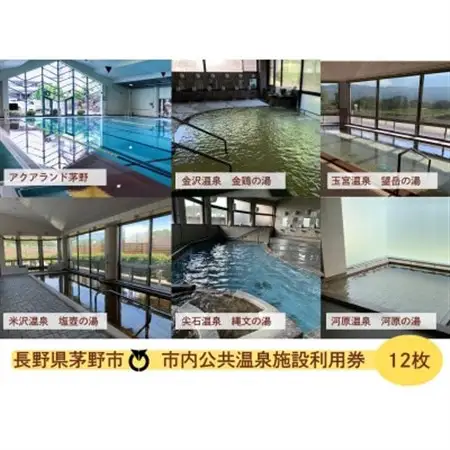 市内公共温泉施設利用券12枚　温泉　信州　蓼科_旅行券・チケット  温泉利用券 _【1414110】