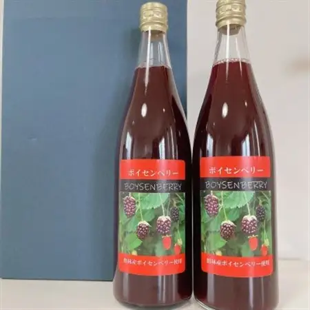 ボイセンベリードリンク 2本セット_飲料・ドリンク 果汁飲料  _【1338625】