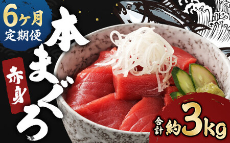 【6ヶ月定期便】長崎県産 本マグロ 赤身 500g 鮪 魚 刺身 【大村湾漁業協同組合】