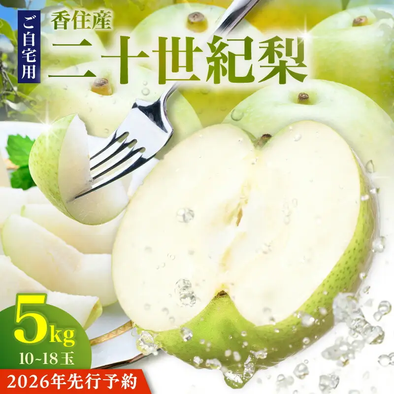 【先行予約】2026年度産 梨 二十世紀梨 ご自宅用 優品（Bランク）5kg L～5Lサイズ混合 【令和8年8月下旬以降発送予定】 20世紀梨 フルーツ 果物  12-20