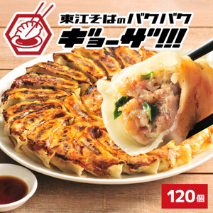東江そば　冷凍生餃子　120個入｜餃子　東江そば