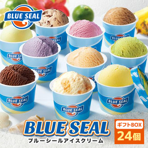 ブルーシール アイス　ギフト24（12種類） アイス　沖縄　人気