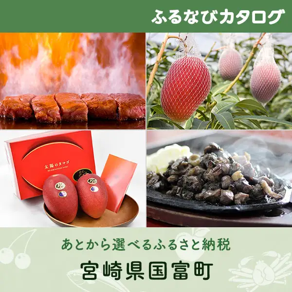 【有効期限なし！後からゆっくり特産品を選べる】宮崎県国富町カタログポイント