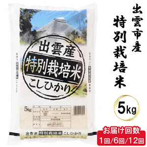 特別栽培米　出雲市産コシヒカリ　5ｋｇ