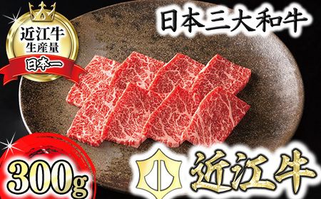 近江牛 特選 焼肉 バラ モモ 300g カネ吉山本 認定 近江牛 雌牛 限定 【Y121W】【 近江牛 】 牛肉