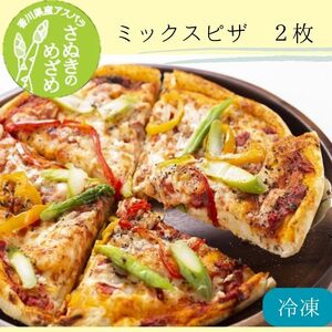 さぬきのめざめ　ミックスピザ2枚（2枚入.1ケース）【L-48】