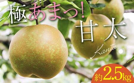 FKP9-651 【先行予約】 極あまっ！甘太 (約2.5kg)  ナシ なし 梨 和梨 和なし 和ナシ ブランド梨