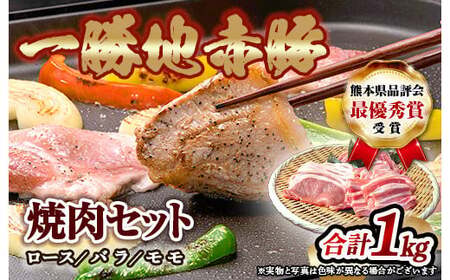熊本県 球磨村 農林水産大臣賞受賞 一勝地赤豚 焼肉セット 1kg FKP9-137