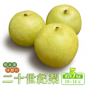 FKP9-685 【先行予約】二十世紀梨（廿世紀梨）約5kg