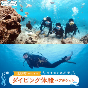 【ふるさと納税】ライセンス不要のダイビング体験ペアチケット@北谷町 ｜旅行 沖縄旅行 沖縄 体験