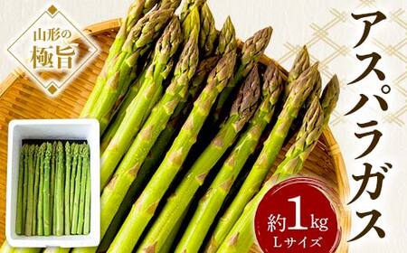 《先行予約 2026年度発送》山形の極旨 アスパラガス 約1kg（Lサイズ） アスパラ 野菜 食品 山形県 FSY-0800