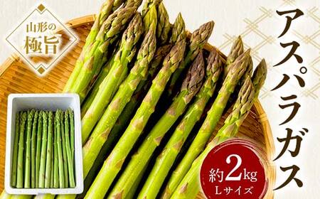 《先行予約 2026年度発送》山形の極旨 アスパラガス 約2kg（Lサイズ） アスパラ 野菜 食品 山形県 FSY-0801