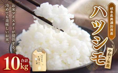 令和7年産 お米マイスターが提供 冷めても美味しい 岐阜県美濃加茂産 ハツシモ （ 10kg ） 【2025年12月上旬～2026年7月下旬の間に順次発送予定】