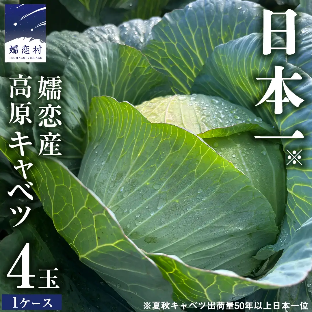 ＜レビューキャンペーン開催中＞【7月中旬発送開始】 嬬恋キャベツ  嬬恋産 高原キャベツ4玉1ケース Lサイズ 先行予約 2026年発送 [AS002tu]