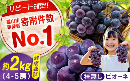 【期間限定/8月下旬〜9月上旬頃発送】沼隈ぶどう「ピオーネ」 約2kg [BAEV002]ピオーネ