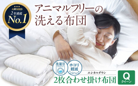 洗える 人工羽毛 2枚合わせ掛け布団 クイーン [BAAK012]掛け布団