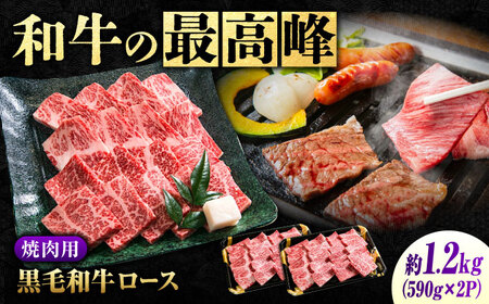 黒毛和牛 神石牛ロースやきにく用590g×2 [BACT008]やきにく