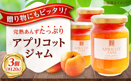 田尻あんず アプリコットジャム 3個入り [BAEK001] ジャム