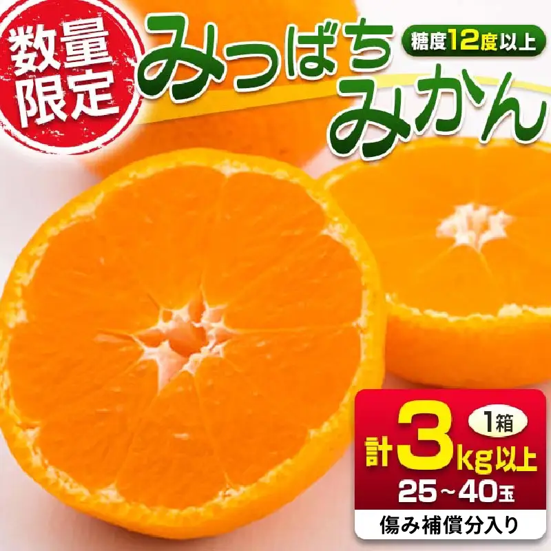 先行予約 みつばちみかん 計3kg以上 傷み補償分入り 期間限定 数量限定 果物 くだもの フルーツ 蜜柑 ミカン 柑橘 オレンジ_AAV9-25