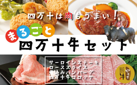 26-021．幻のメス牛 まるごと四万十牛セット（サーロインステーキ・ローススライス・煮込みハンバーグ・四万十牛コロッケ）
