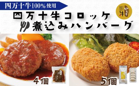 26-017．四万十牛100%！煮込みハンバーグ・四万十牛コロッケセット （ハンバーグ4個・コロッケ5個 ）