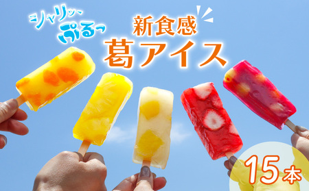 葛アイス 15本セット 溶けないアイス 葛アイスバー 産地直送 フルーツアイス アイス詰め合わせ 低カロリーアイス ヘルシーアイス スイーツ ギフト F07_02