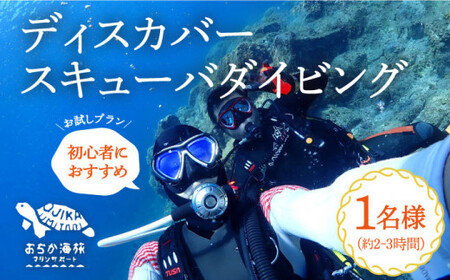 【体験ダイビング】Discover Scuba Diving コース 1名様  [DBB001]