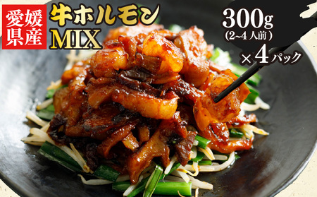愛媛県産 牛 ホルモン MIX 300g × 4 パック ミックス ホルモン ピリ辛 希少 小分け 牛 ホルモン 部位 ホルモン焼き 料理 焼き 愛媛県 松山市 ホルモン【KHN001_x】