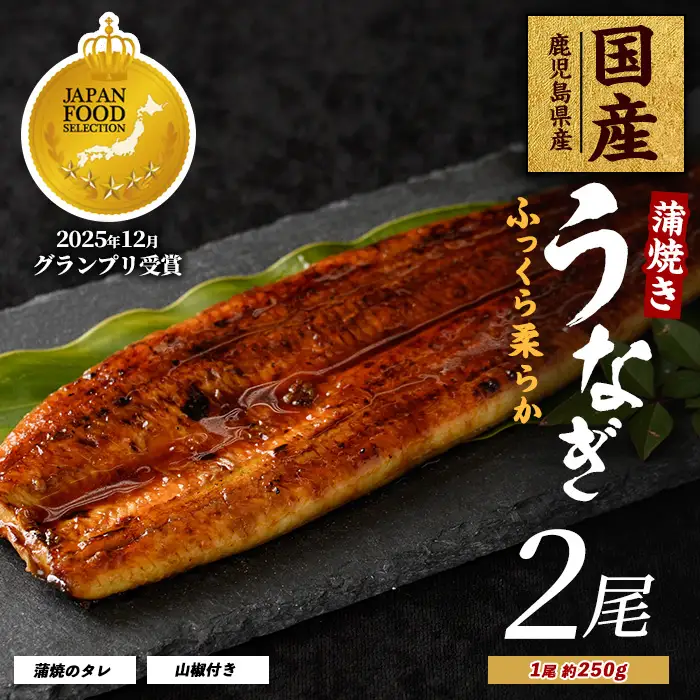 鹿児島県産 うなぎ蒲焼じっくり焼き約250g×2尾 木目化粧箱入り 大新 IB021-001 うなぎ うなぎ