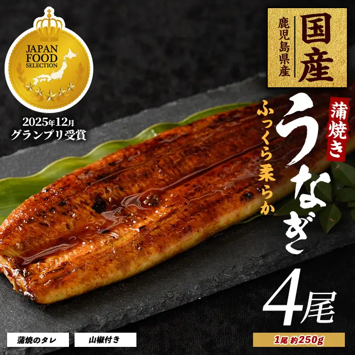 鹿児島県産 うなぎ蒲焼じっくり焼き約250g×4尾 木目化粧箱入り 大新 IB021-003 うなぎ うなぎ