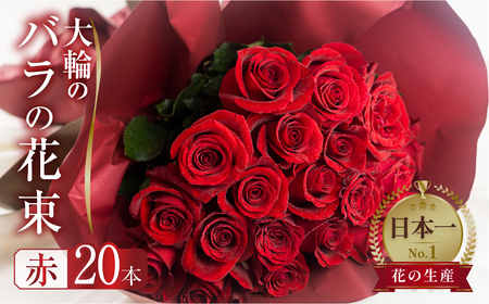 バラ 花束 大輪 赤 20本 (40cm) ブーケ 薔薇 ローズ バラ