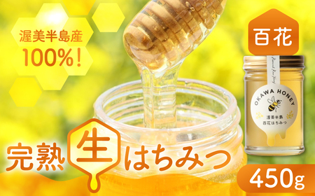 純粋百花はちみつ 450g 蜂蜜 国産 渥美半島産 100% 蜂蜜 
