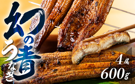  厳選 幻の青うなぎ 4尾 うなぎ