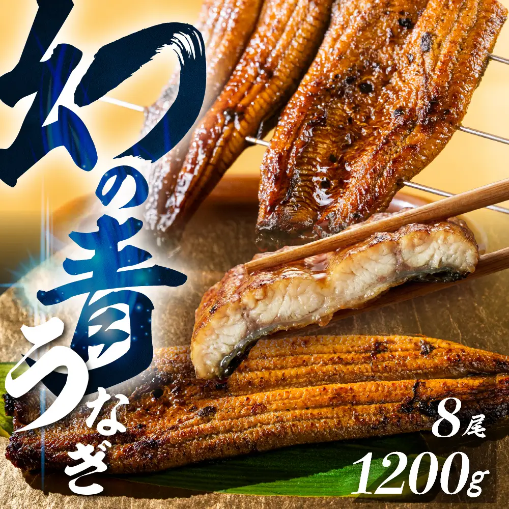 最高級 特上 幻の青うなぎ 8尾 うなぎ