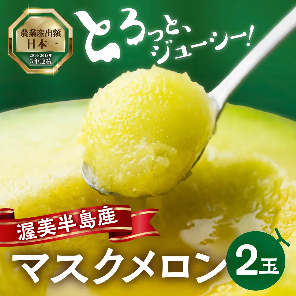 【先行予約-6月中旬～発送】マスクメロン 2玉 メロン マルカベジフル 