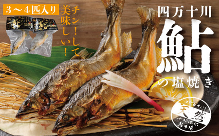 26-838．炭火でじっくり焼いた四万十川天然鮎の塩焼き(3～4匹)