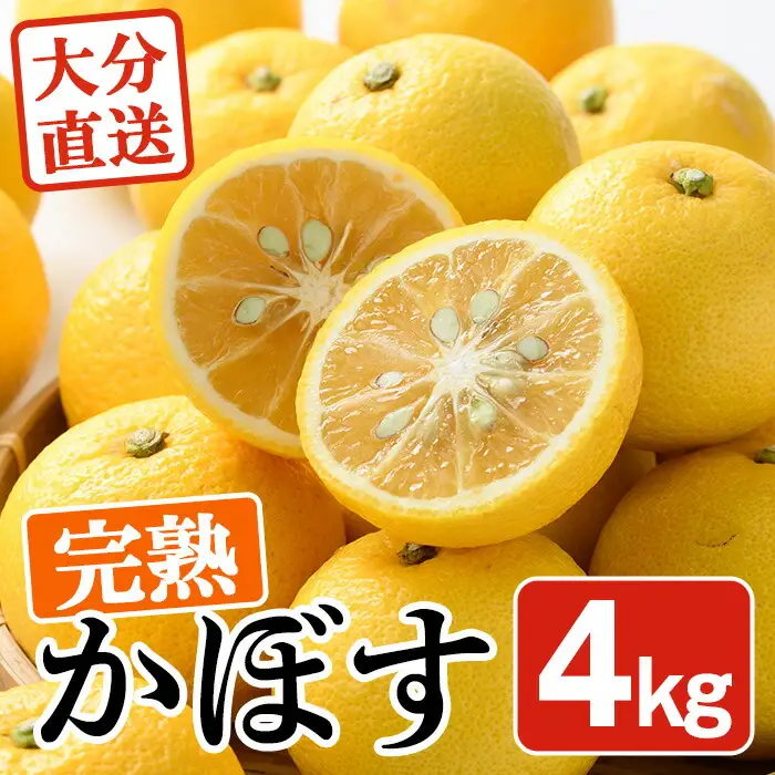 ＜先行予約受付中！2026年11月上旬以降順次発送予定＞完熟かぼす(約4kg)かんきつ 柑橘 期間限定 おもとの丘【111300401】【未来農林】