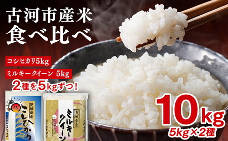令和7年産 古河のお米食べ比べセット（コシヒカリ・ミルキークイーン）計10kg | 米 着日指定可 ※2025年9月中旬頃より順次発送予定 _DP04
