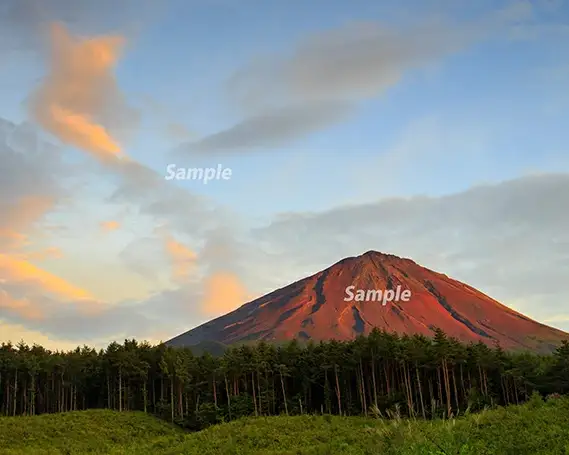 富士山フォトパネル（赤富士） NSF001