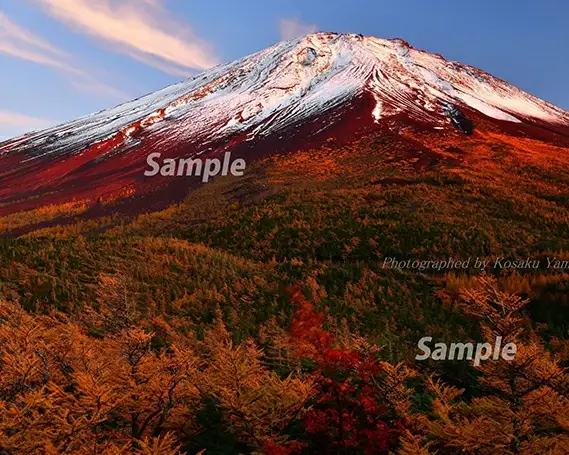 富士山フォトパネル（秋の夕暮れ） NSF003