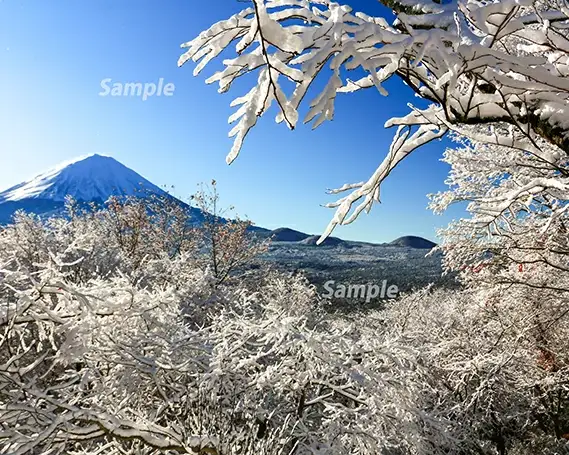 富士山フォトパネル（雪景色） NSF005