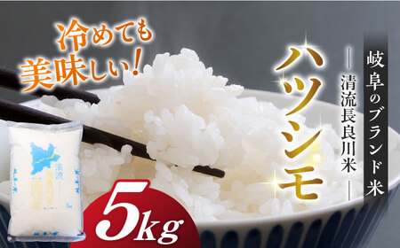 米 ハツシモ5kg[ANCU002]