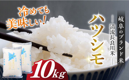 米 ハツシモ10kg[ANCU003]